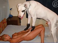 Nice teen deeply ass fucked unconnected with a majuscule dog cock